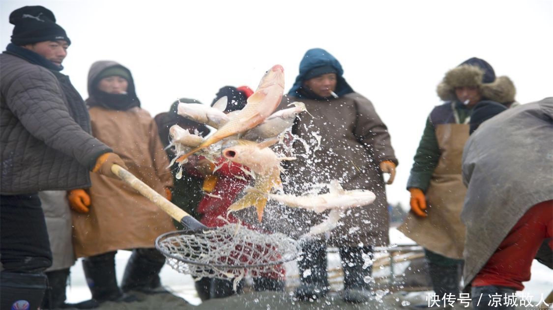 一网捞出40万斤鱼，为何查干湖的鱼越捞越多么？当地渔民说出真相