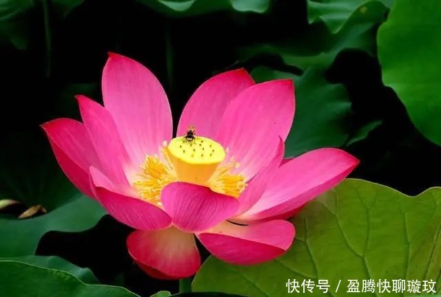 生活|大彻大悟的佛家禅语,人生哲理!