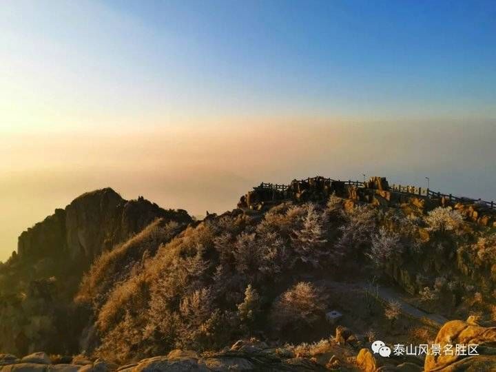 登泰山之巅，观云雾升腾铺陈成海，看云层姿态万千仿若画卷