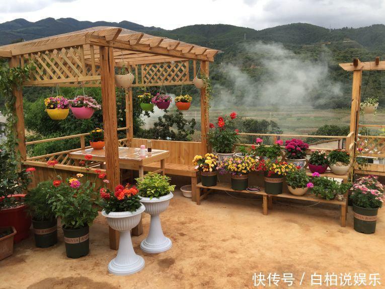 女婿在楼顶养多肉,村里人都跑来参观,丈母娘高兴坏了!