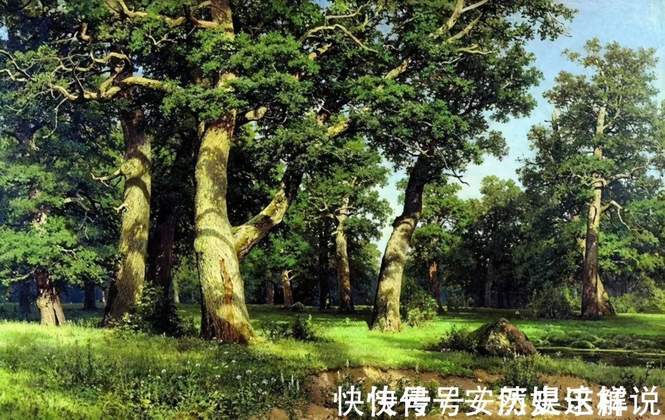 那个时代$俄罗斯杰出风景画家希施金的作品,诗一般的境界!