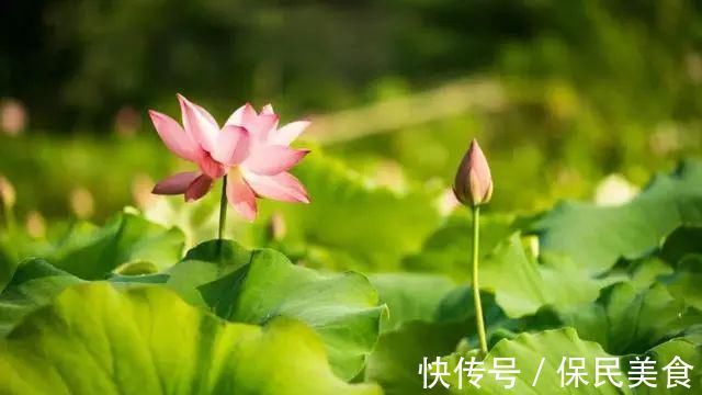 虞美人#100句关于岁月变迁的诗词,都是经典名句,写作文时肯定用得上