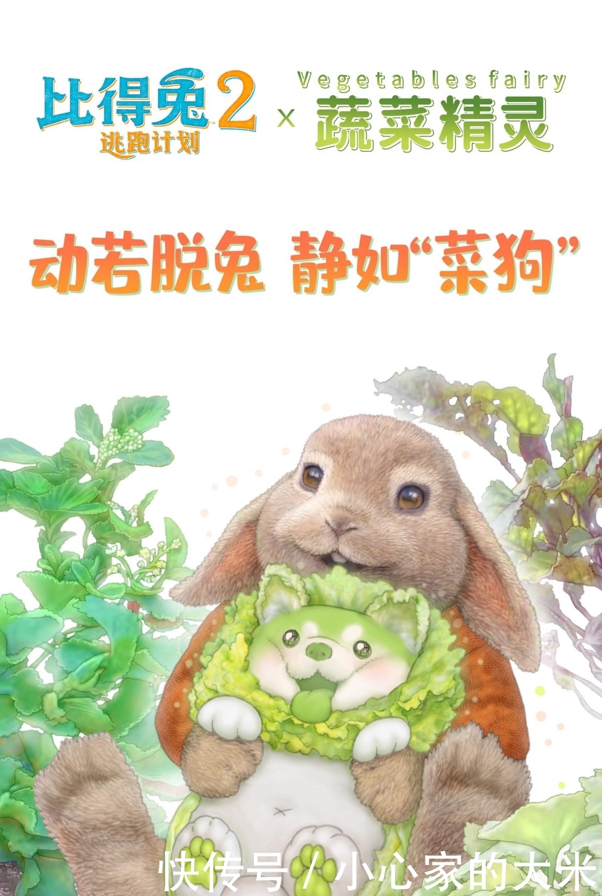 电影|比得兔与菜狗梦幻联动 《比得兔2:逃跑计划》周五上映治愈来袭