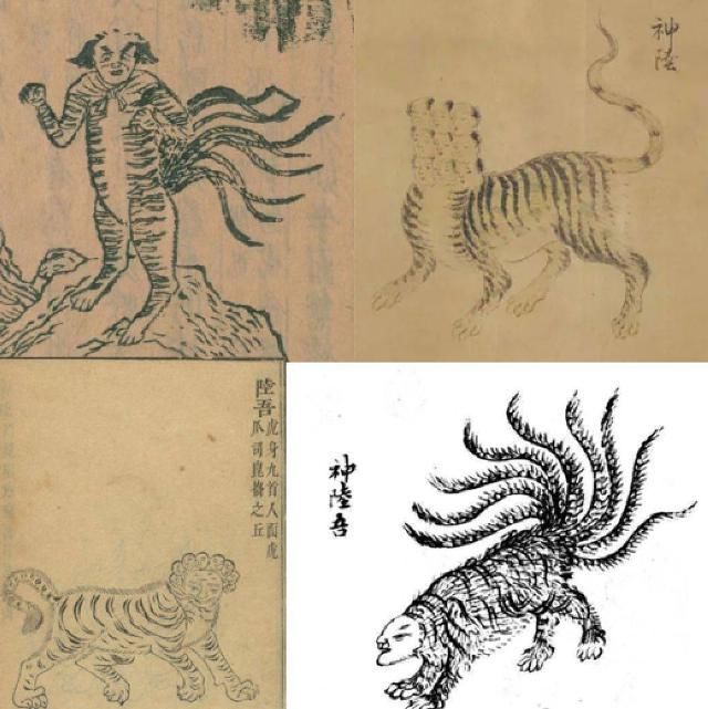 2000年过去了,这本奇书依旧能震撼你的世界观