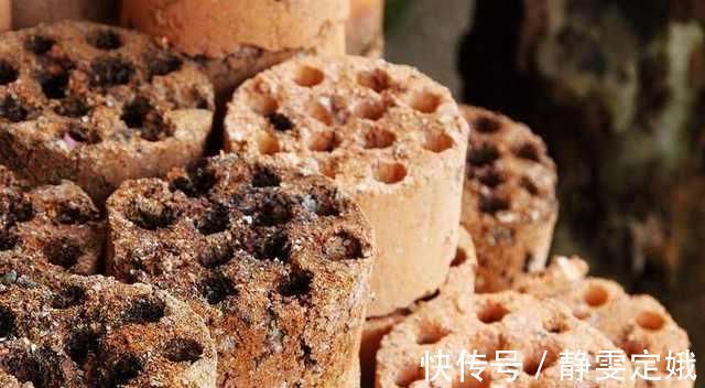 养花不烂根,捡来小东西垫在盆底,叶绿根壮猛开花