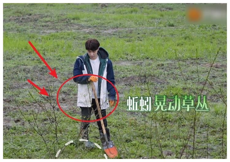 《向往5》节目录制有多真实，看到嘉宾的衣服，是否造假很明了