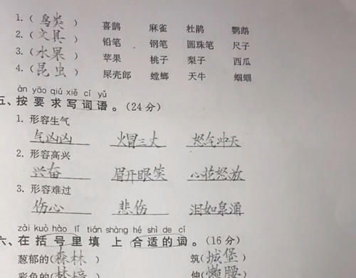 二年级学霸字体堪比“教科书”，家长：求分享学习方法