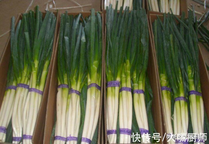 大葱别直接放地上，葱农教我3个小妙招，放半年不变质，特别新鲜