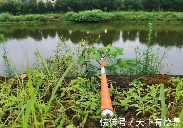 烧钱|钓什么样的鱼,用什么样的鱼竿!许多人颠倒了,难怪烧钱