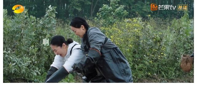 何炅|《向往5》一期十位客人，维嘉到来不仅为干活，还有一个暖心目的