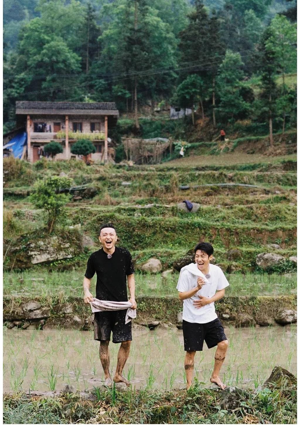 倪萍|敢玩、会玩、玩真的,如此豪气的综艺阵容,也就央视能拿得出手了