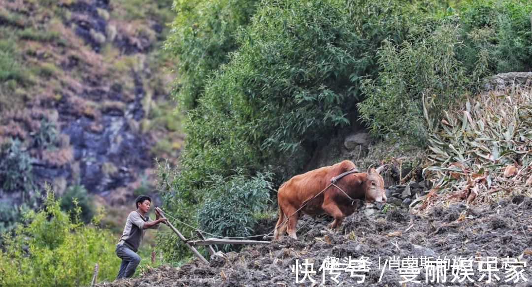 蜂巢|四川建在悬崖巨石上的村庄，全村屋顶连一起，远看如蜂巢世界罕见