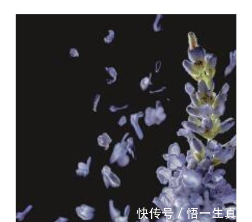 防晒 本季护肤清单就俩字儿「舒坦」!