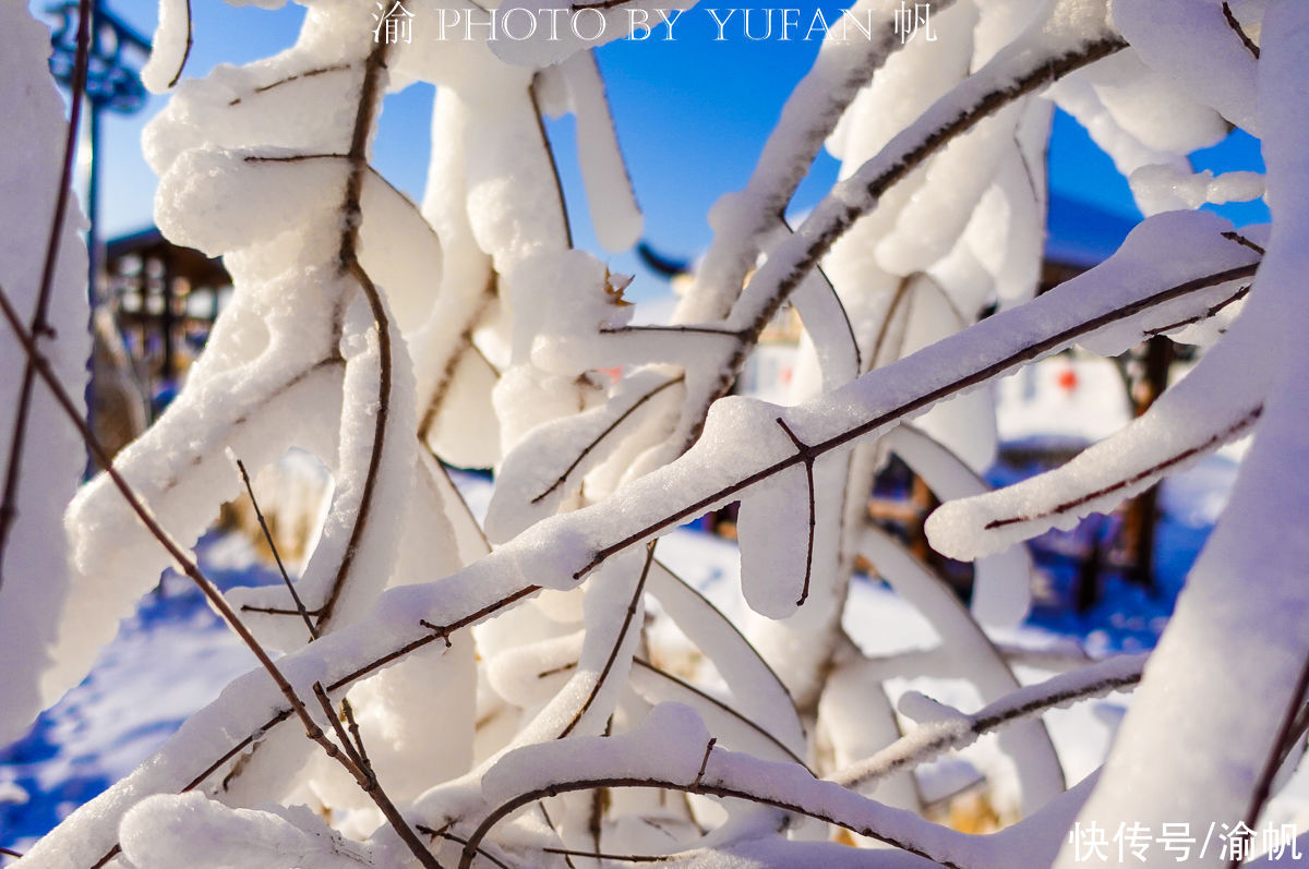 冰雪|不用去雪乡，长春也能体验到童话般的冰雪世界，景美人少火前速来