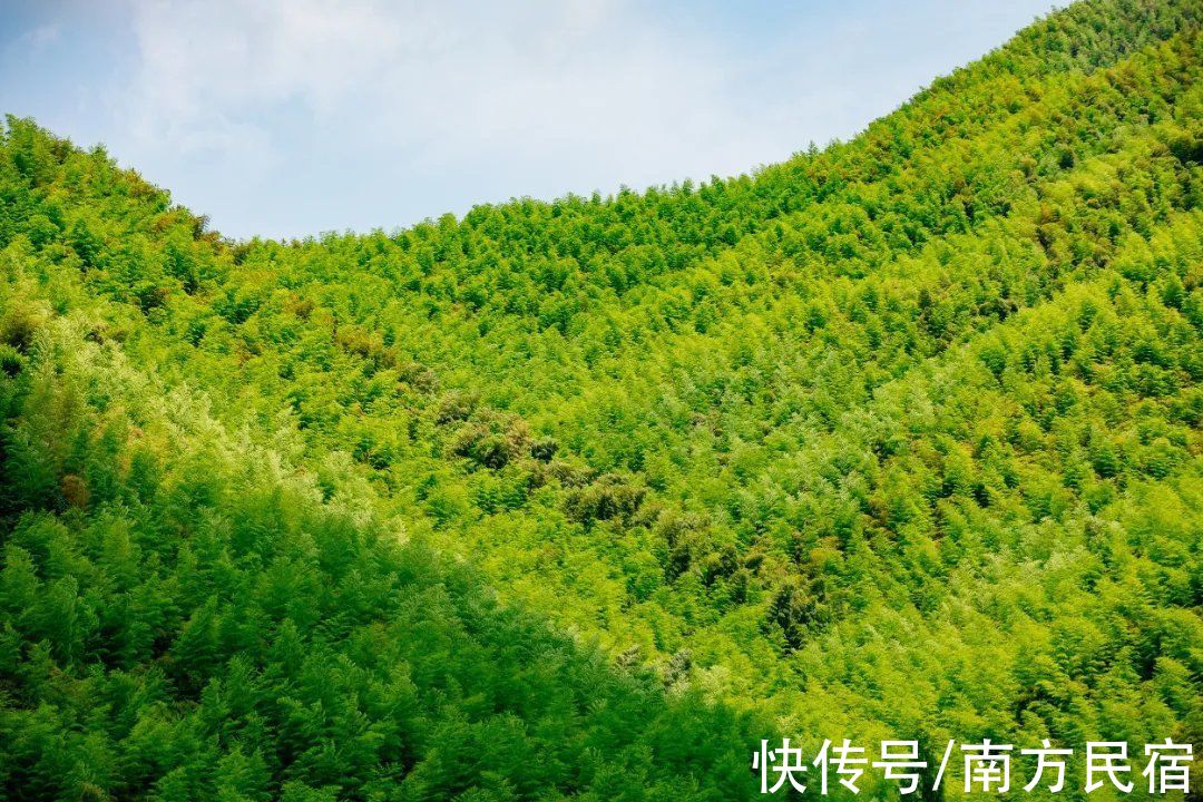 民宿|隐于莫干山深处的轻奢民宿，在星空下享受纯净的温泉泡汤丨宿里