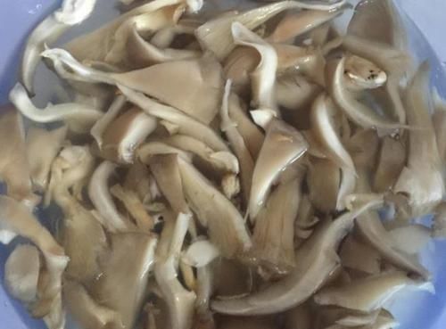 这菜5块钱一斤,加个鸡蛋出锅比肉香,孩子爱吃增强抵抗力少生病