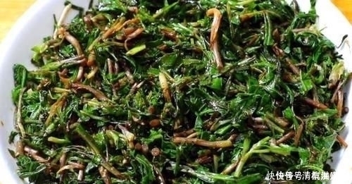 营养|入夏后黄瓜生菜靠边站,多吃它不用花一分钱,去火润喉,营养丰富