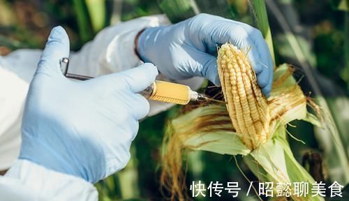 大豆|木瓜、大豆几乎都是转基因的?转基因食品安全吗?建议您看完再吃