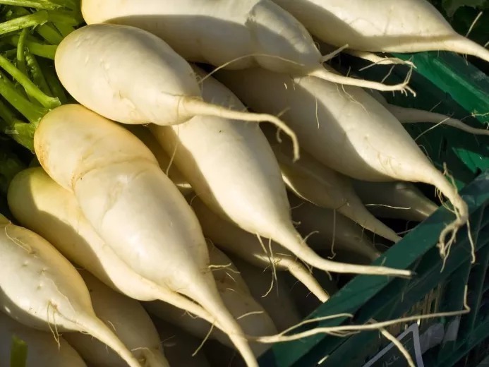 香蕉|便秘患者饮食注意事项多 吃对食物很重要!