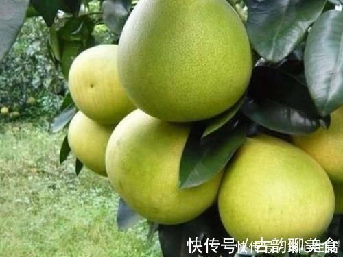 糖尿病|糖尿病人不能吃水果几种水果“大胆吃”,或许血糖还降下来了