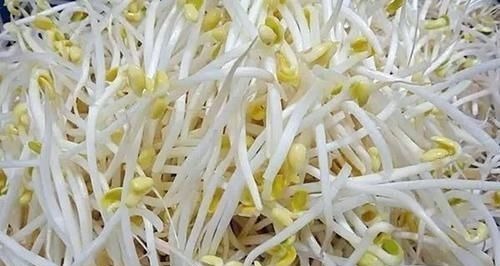 毒素|含有毒素的五种蔬菜,我们竟然还当成宝贝,看看你中招没