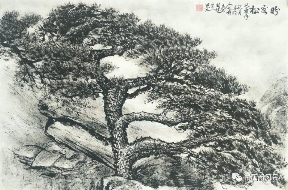  名松|国画：黄山十大名松