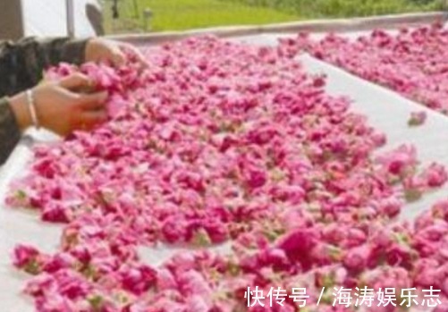 大妈|女人不想当大妈,4种“食物”要舍得吃,色斑淡化,体重也变轻