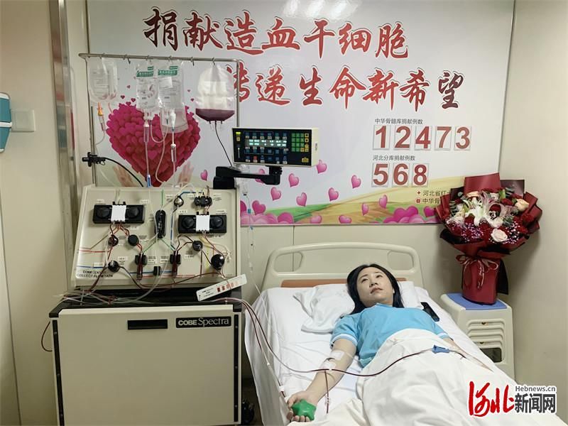 张晓晴|河北邢台宁晋95后护士成功捐献造血干细胞