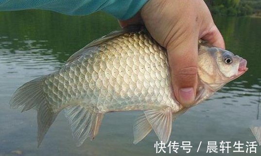 风浪|钓鱼天气和钓点的选择技巧,这些时机出钓,钓一次爽一次