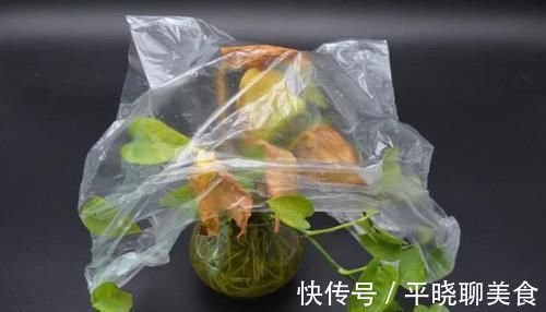 洗洁精|花卉上套一个塑料袋,作用真厉害,可惜懂的人还不多,涨知识了
