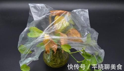 洗洁精|花卉上套一个塑料袋，作用真厉害，可惜懂的人还不多，涨知识了