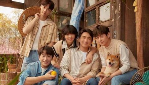 節目|本來想看王冰冰的，沒想到被節目吸了粉