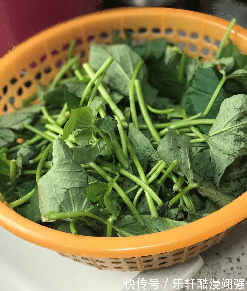刮油菜|真正的“刮油菜”发现了，隔三差五吃，刮油减脂，好吃不怕胖