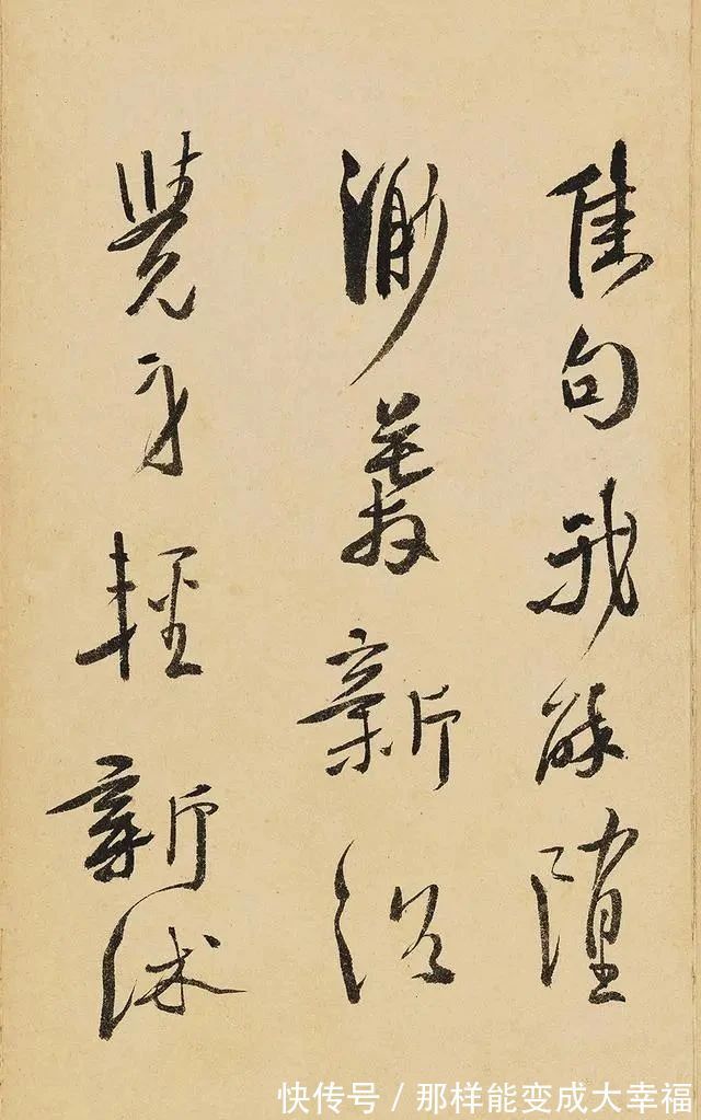 上海市博物馆&徐渭的字丑丑的,让人很难欣赏,黄宾虹:300年来,没人能赶上他