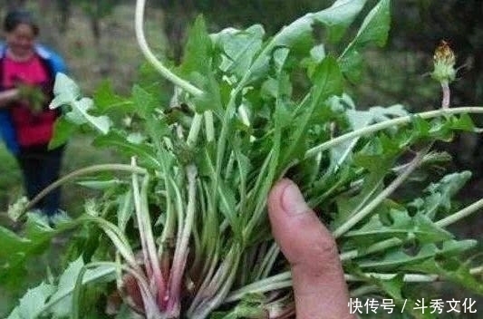 女性想要身体好常吃几种食物，补血润肤，改善睡眠，越来越年轻