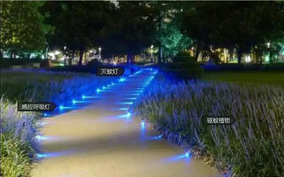 开园|今日开园!占地超60万平米!惠及20万居民!朝阳又添一座巨型生态公园!