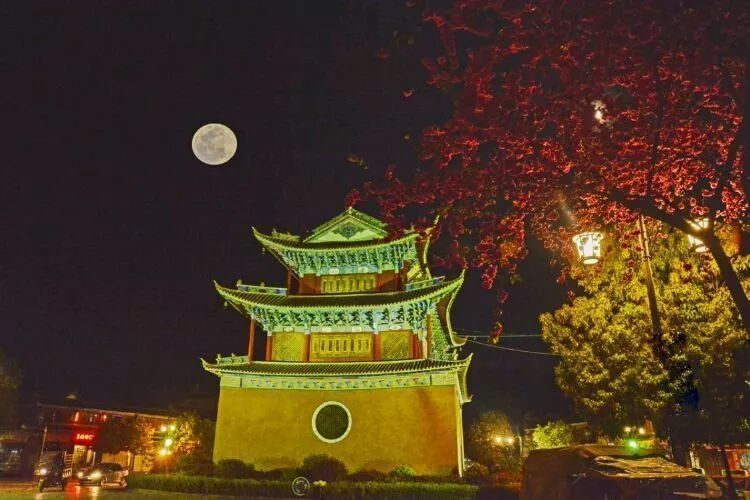 静心养多肉,只是为了在成人的世界里随波不逐流!