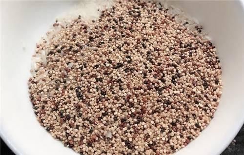 是米饭的“替代品”,模特都爱吃,吃得饱瘦得快,肥肉悄悄掉