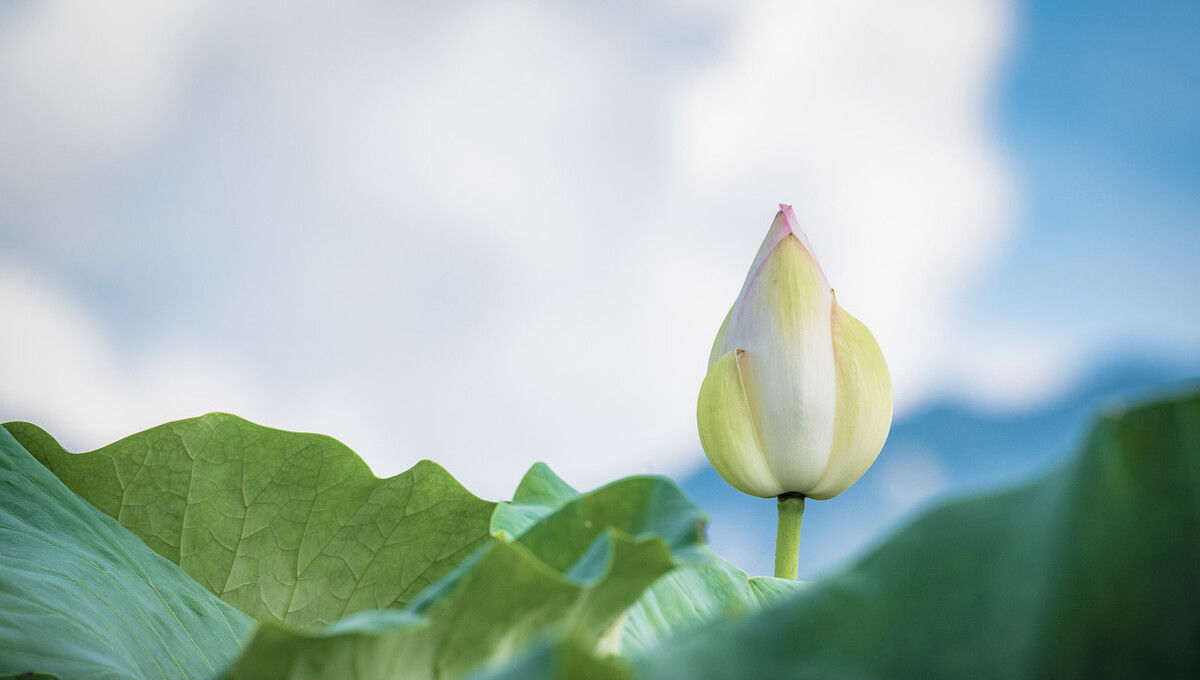 匈奴单于|王莽篡汉:干了许多蠢事,破坏汉匈关系,西汉雄风不再