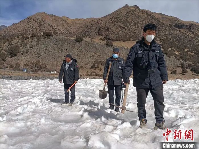 雪豹|这辈子一定要去趟这个公园 在这里“有种爱叫放手”