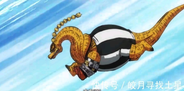 白胡子|海贼王奎因的形象五大三粗,腿却比大妈还细,令人想起白二世