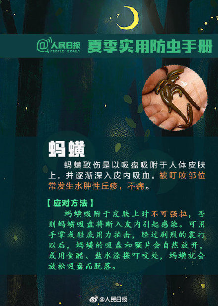 转发提醒！飞虫落身上不要随意拍打