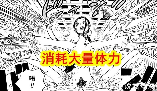 玛利亚|海贼王最新情报:弗兰奇老年照公布,罗宾巨人开花消耗大量体力