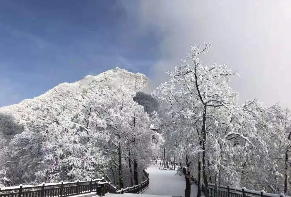 美成|美炸了！雪后鬼谷岭雾凇云海，银装素裹美成仙境！