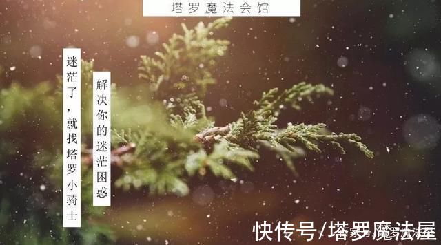 塔罗魔法会馆|12.16~12.22星座周运 狮子遇新人 天蝎注意乱桃花| 爱情运