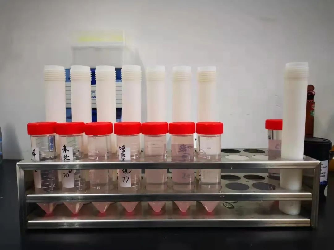 權威調查！常吃的這種蔬菜擦出藍色物？還能放心吃嗎？臺州最新實驗結果來了