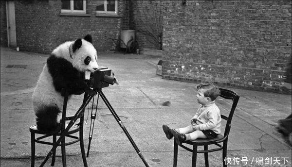 历史|你可能不知道的历史老照片（第四波）