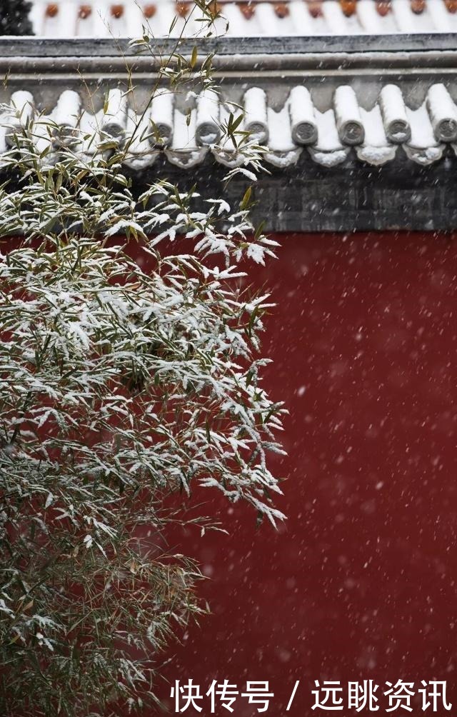 想和你|故宫下雪了，我又想你了