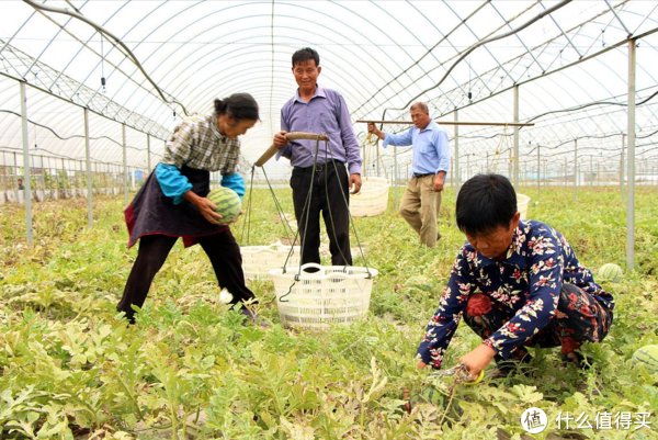 食材|立秋以后，“啃秋”有讲究，无论价格贵贱，这5种食材都要少吃