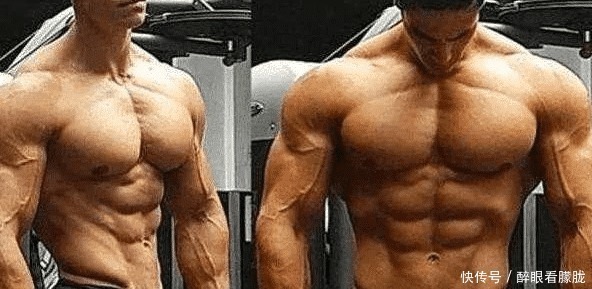 蛋白粉|不健身也不运动的人吃蛋白粉，1年后身体会变怎样